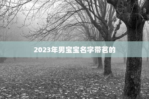 2023年男宝宝名字带茗的