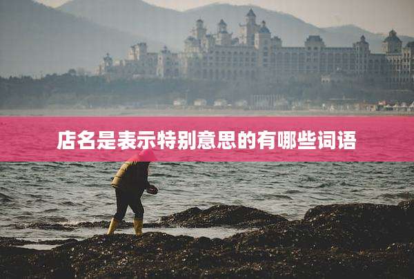 店名是表示特别意思的有哪些词语