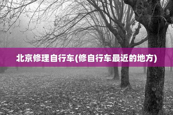 北京修理自行车(修自行车最近的地方)
