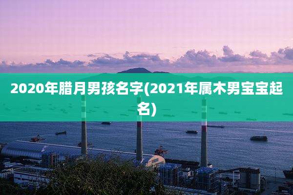 2020年腊月男孩名字(2021年属木男宝宝起名)
