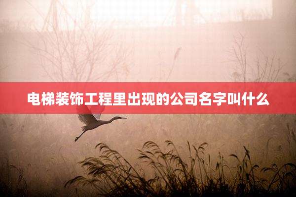 电梯装饰工程里出现的公司名字叫什么