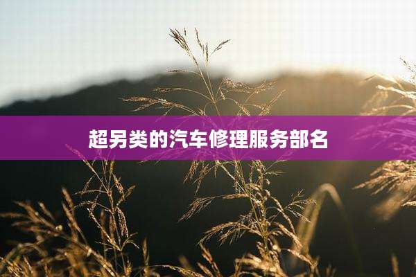 超另类的汽车修理服务部名