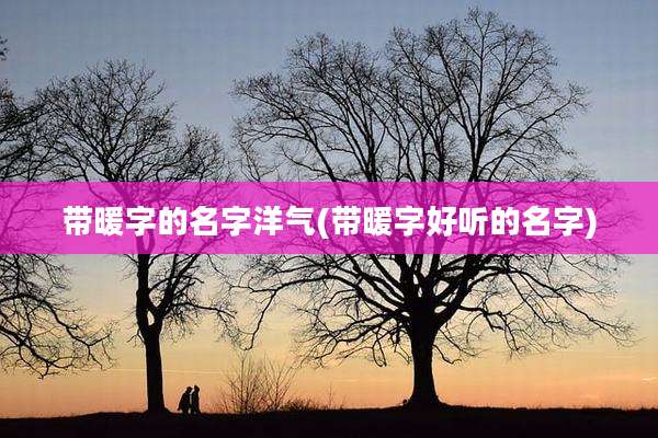 带暖字的名字洋气(带暖字好听的名字)
