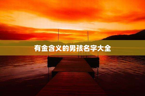 有金含义的男孩名字大全