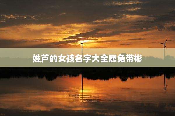 姓芦的女孩名字大全属兔带彬
