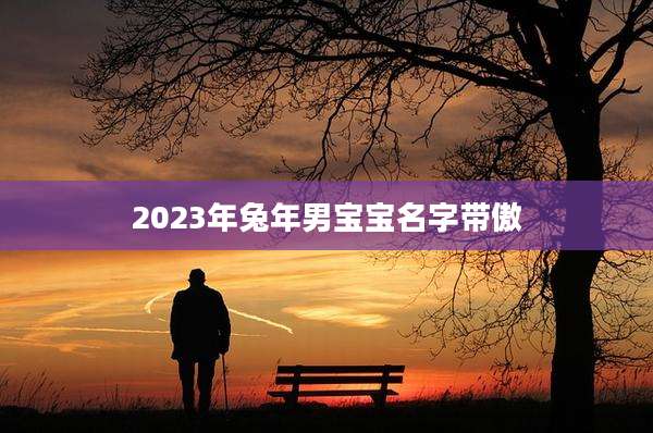 2023年兔年男宝宝名字带傲