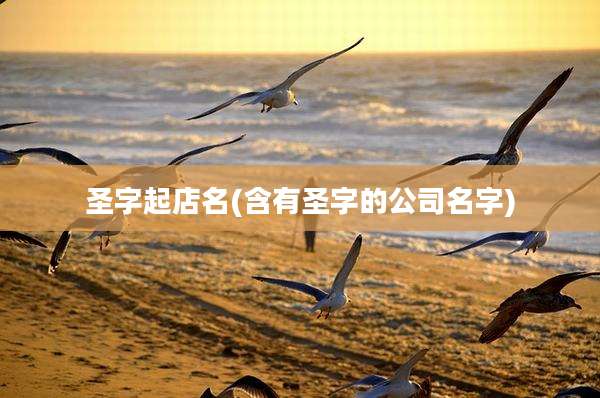 圣字起店名(含有圣字的公司名字)