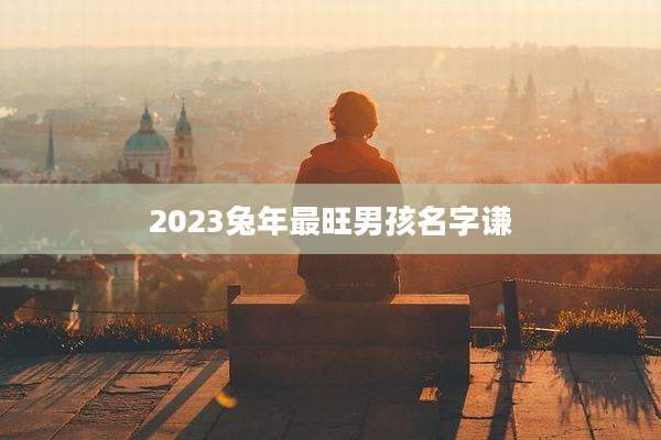 2023兔年最旺男孩名字谦