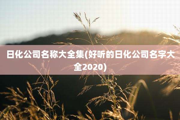 日化公司名称大全集(好听的日化公司名字大全2020)