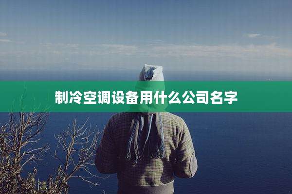 制冷空调设备用什么公司名字