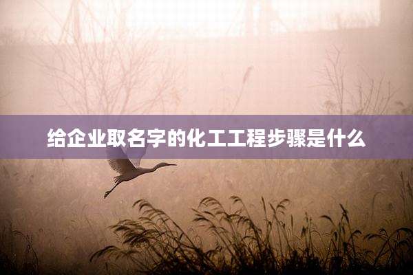 给企业取名字的化工工程步骤是什么