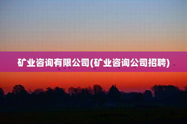 矿业咨询有限公司(矿业咨询公司招聘)