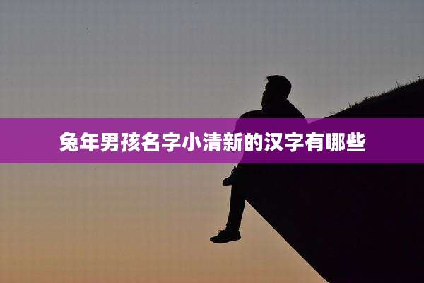 兔年男孩名字小清新的汉字有哪些