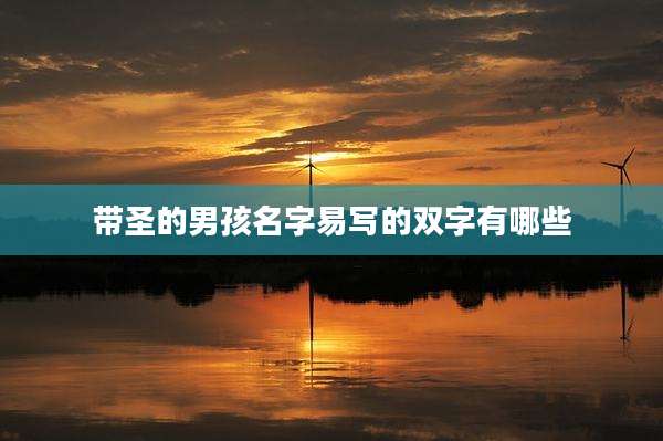 带圣的男孩名字易写的双字有哪些