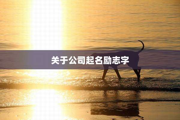 关于公司起名励志字