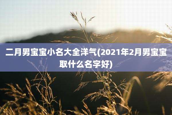 二月男宝宝小名大全洋气(2021年2月男宝宝取什么名字好)