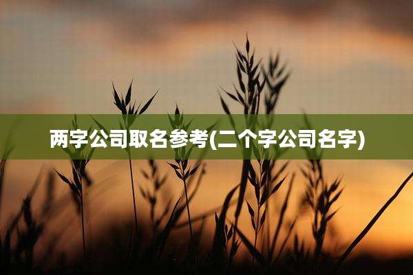 两字公司取名参考(二个字公司名字)