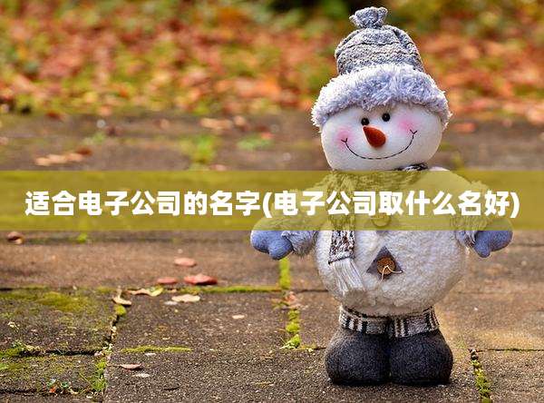 适合电子公司的名字(电子公司取什么名好)