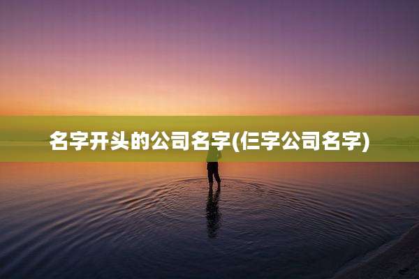 名字开头的公司名字(仨字公司名字)