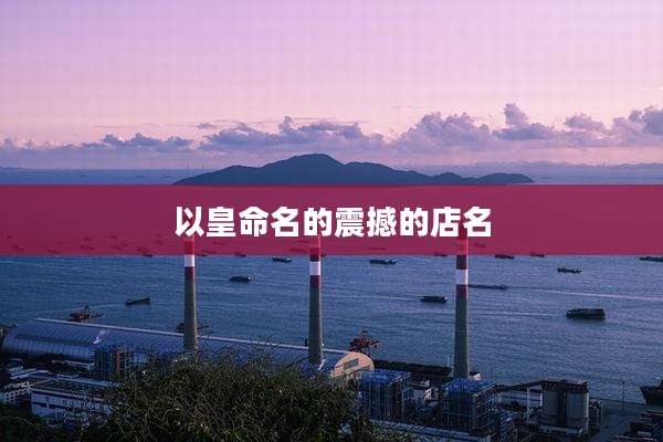 以皇命名的震撼的店名