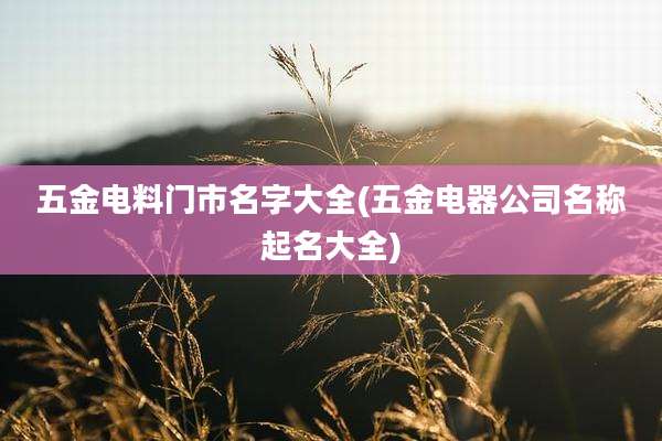 五金电料门市名字大全(五金电器公司名称起名大全)