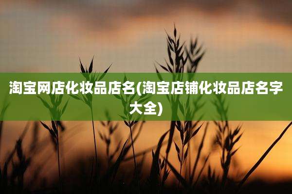 淘宝网店化妆品店名(淘宝店铺化妆品店名字大全)