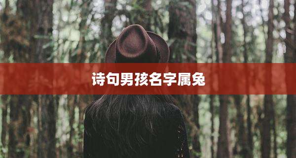 诗句男孩名字属兔