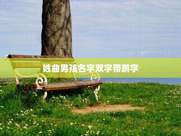 姓曲男孩名字双字带鹏字