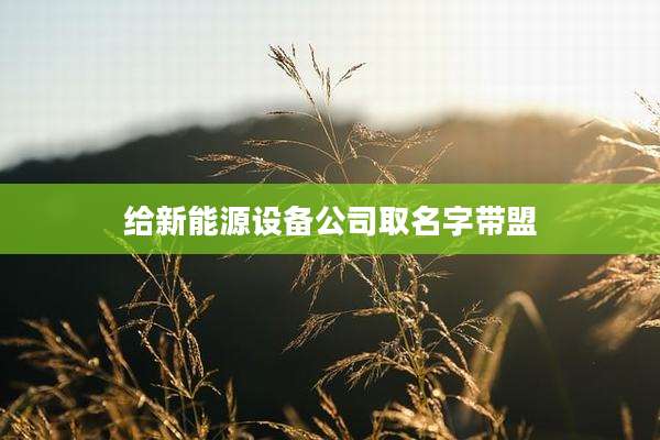 给新能源设备公司取名字带盟
