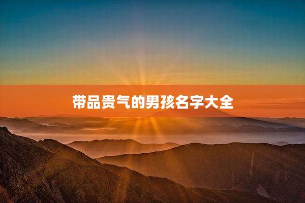带品贵气的男孩名字大全