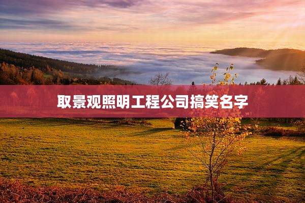 取景观照明工程公司搞笑名字