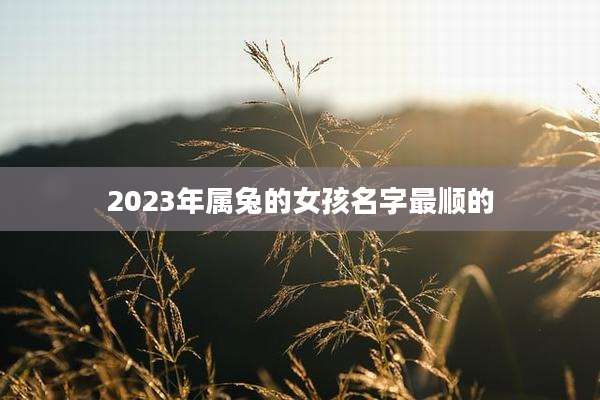 2023年属兔的女孩名字最顺的