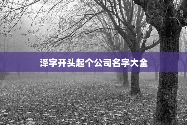 泽字开头起个公司名字大全