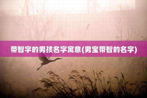 带智字的男孩名字寓意(男宝带智的名字)