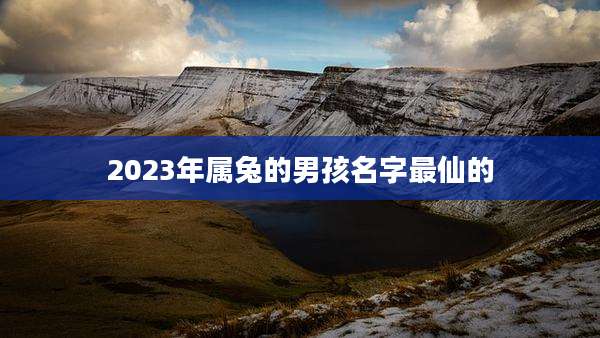 2023年属兔的男孩名字最仙的