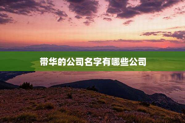 带华的公司名字有哪些公司