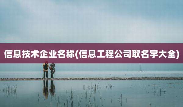 信息技术企业名称(信息工程公司取名字大全)