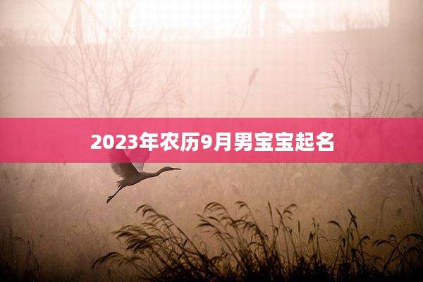 2023年农历9月男宝宝起名