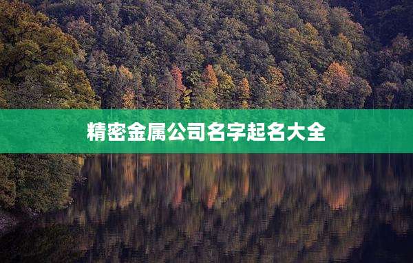 精密金属公司名字起名大全
