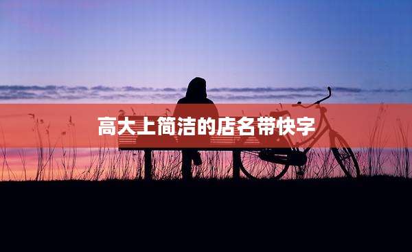高大上简洁的店名带快字