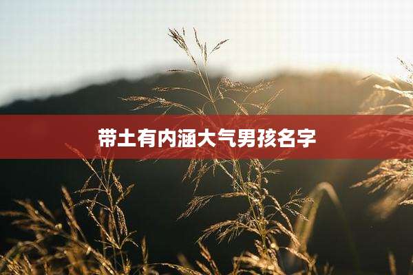 带土有内涵大气男孩名字
