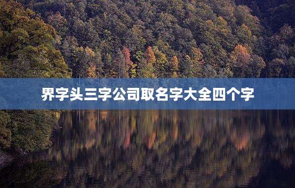 界字头三字公司取名字大全四个字