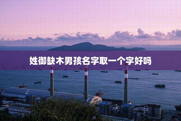 姓御缺木男孩名字取一个字好吗
