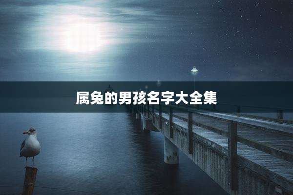 属兔的男孩名字大全集