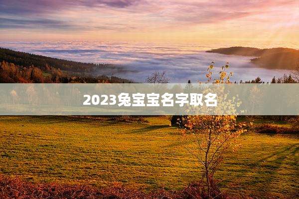 2023兔宝宝名字取名