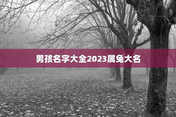 男孩名字大全2023属兔大名