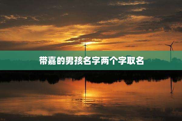 带嘉的男孩名字两个字取名