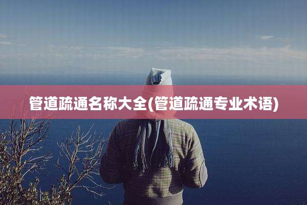 管道疏通名称大全(管道疏通专业术语)