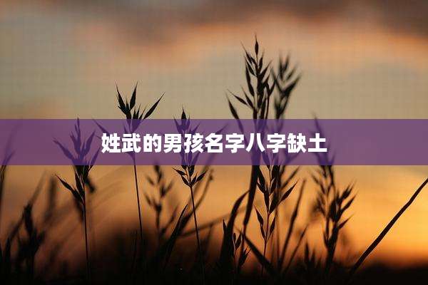 姓武的男孩名字八字缺土