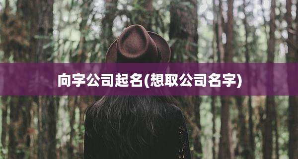 向字公司起名(想取公司名字)